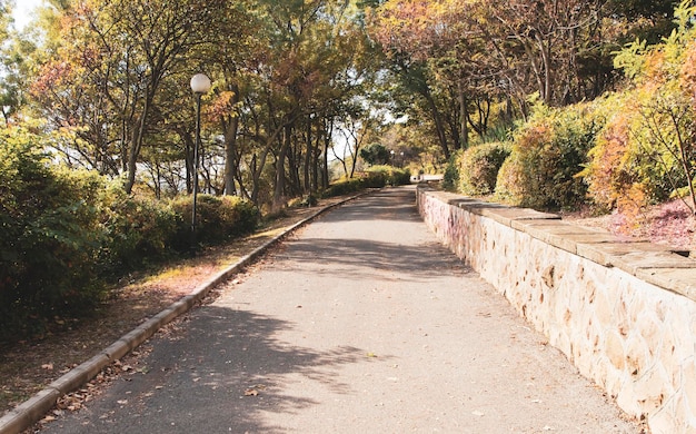 Sendero para correr y andar en bicicleta en el parque de la ciudad. Otoño