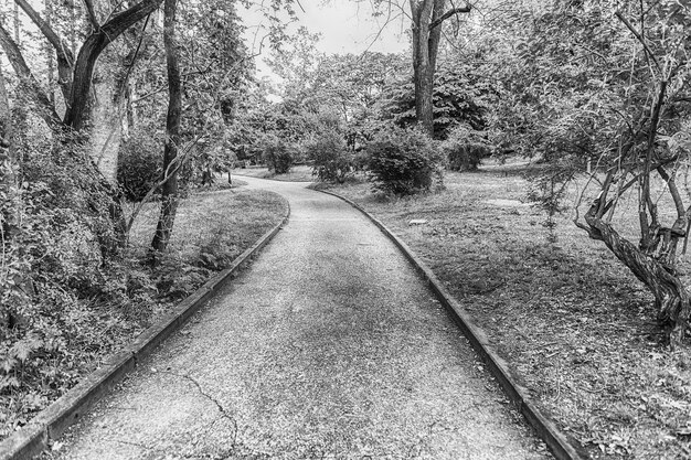 Foto sendero escénico rodeado de naturaleza dentro de un parque público en el centro de la ciudad de roma, italia