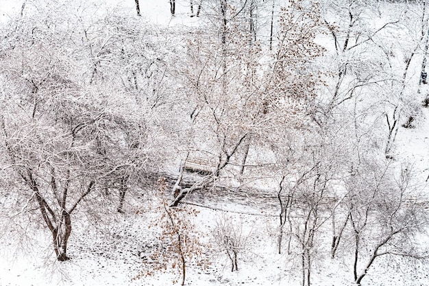 Sendero en el jardín urbano de nieve en invierno