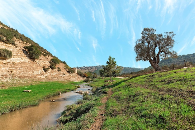 sendero a lo largo del río contra el fondo de un hermoso cielo en Israel