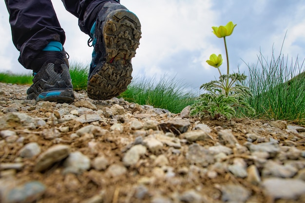 Sendero de montaña con detalle de zapato caminando cerca de una flor
