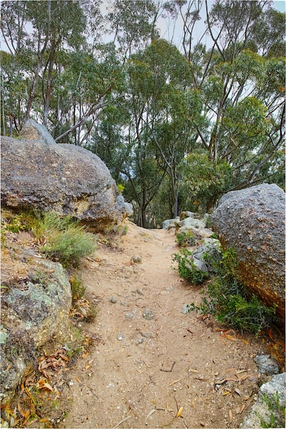 Sendero de montaña remoto en Table Mountain Sendero montañoso aislado rodeado de rocas y árboles Sendero en la cima de la montaña Atracción turística en Ciudad del Cabo Senderos para explorar