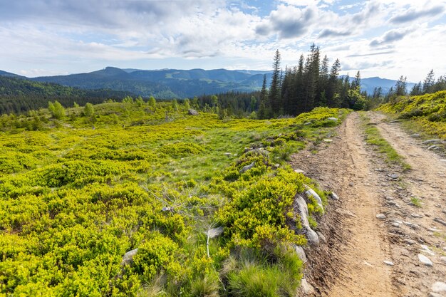 Sendero de montaña de verano para practicar senderismo en la cresta más alta de Ucrania, Marmarosy, cerca de Rumania