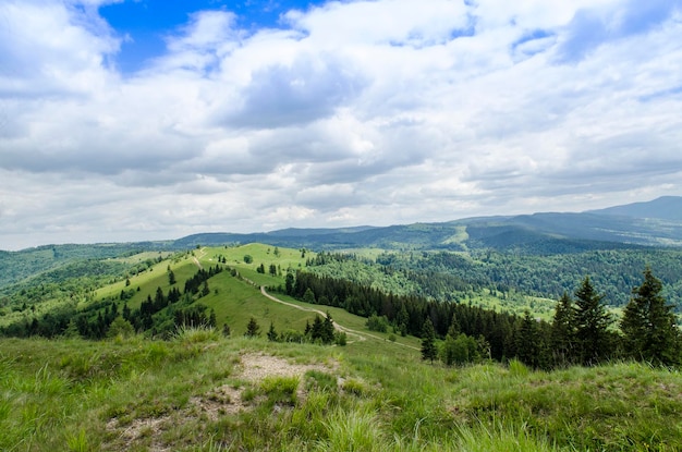 Sendero en las montañas