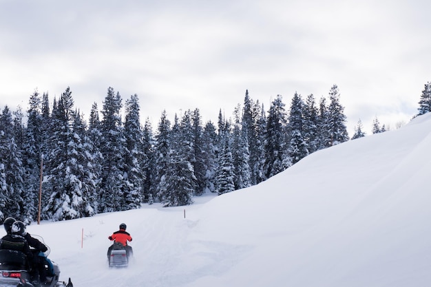 Sendero para motos de nieve en el Jacksone Hole, WY.