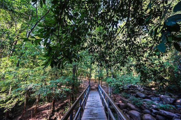 Sendero natural en la cascada de Sapan nan TailandiaSapan es un pueblo pequeño y tranquilo en la montaña