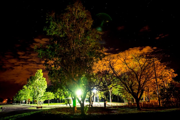 Foto el sendero por la noche