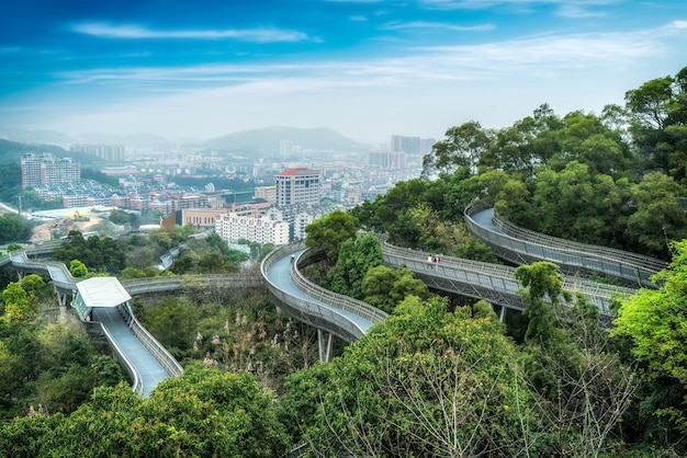 Sendero de observación del bosque en Fuzhou, China