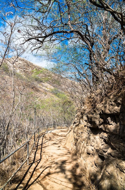 Foto el sendero de observación de diamond head en la isla de oahu en hawai