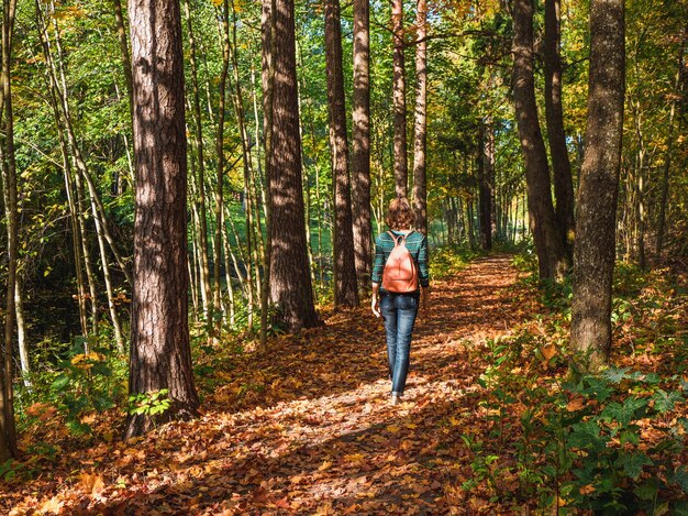 Sendero de otoño en el bosque soleado. Viajero de mujer de senderismo con mochila en el bosque de otoño. Concepto de estilo de vida de viajes vacaciones de aventura al aire libre.