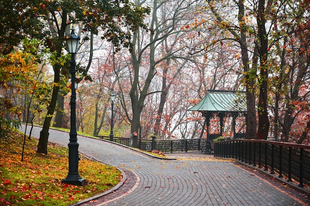 Sendero en el parque de niebla de otoño multicolor de la mañana. Brillante fondo de otoño.