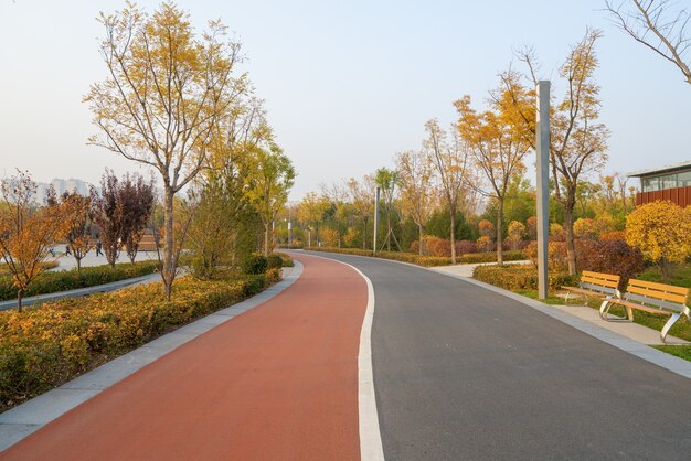 Sendero en el parque en otoño