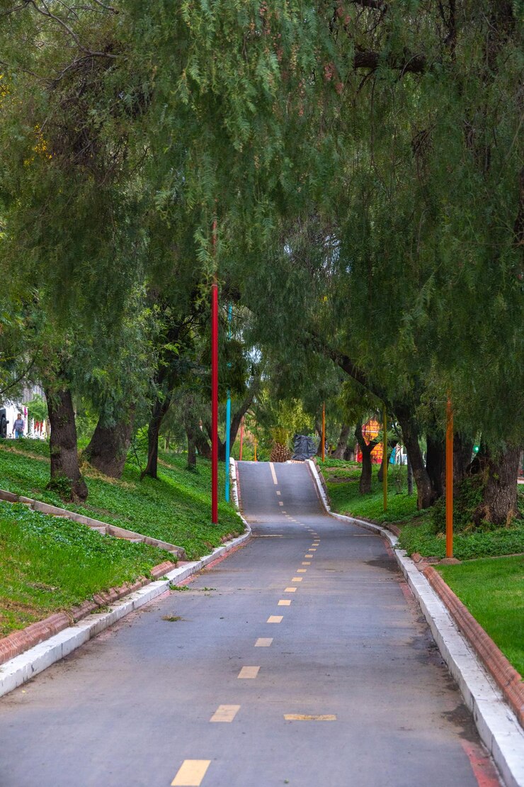 sendero peatonal ciclista urbano con una pequeña subida en el horizonte rodeado de árboles
