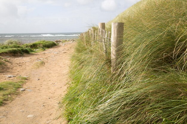 Sendero a la playa Clare Irlanda