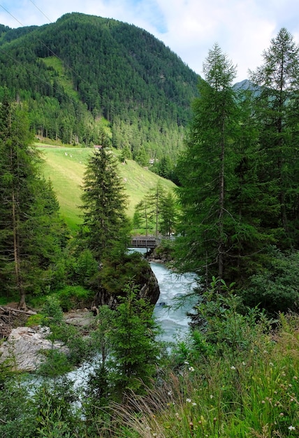 Sendero en las rocas cerca de un río salvaje.