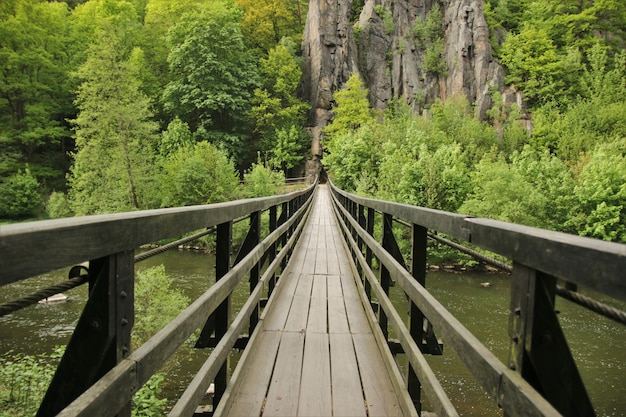 Sendero sobre un río