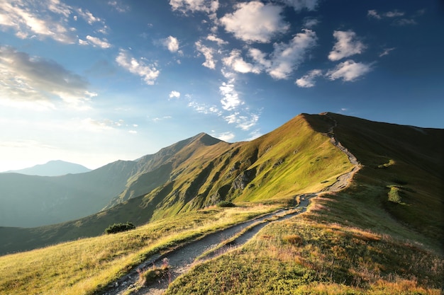 Sendero a través de las montañas de los Cárpatos durante el amanecer, julio, Polonia