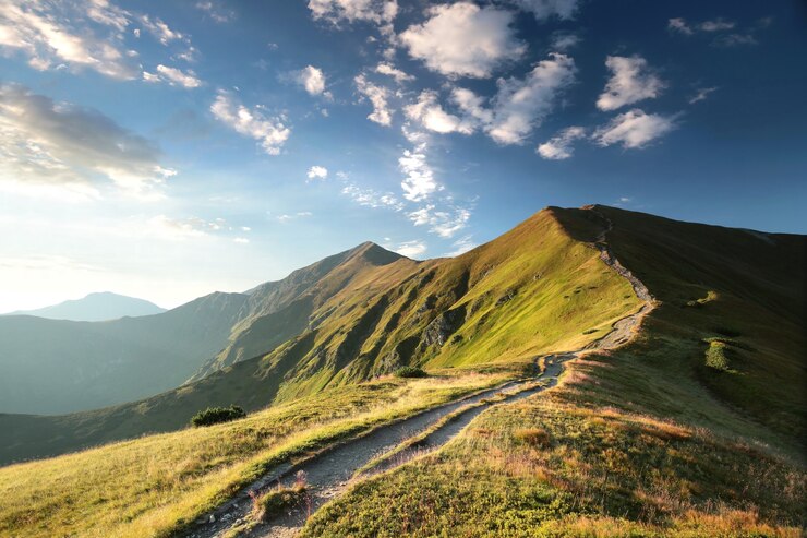 Foto sendero a través de las montañas de los cárpatos durante el amanecer, julio, polonia