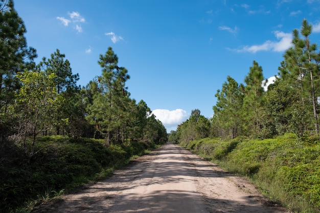 Sendero de trekking