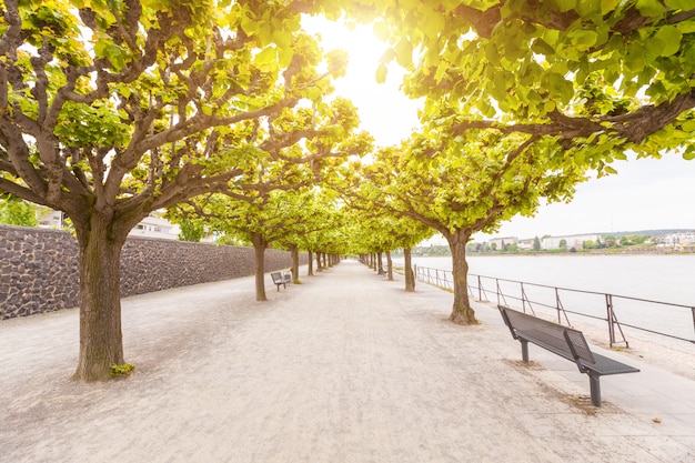 Sendero vacío a lo largo del río Rin en Bonn