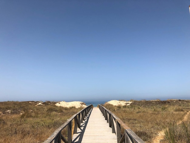 Un sendero vacío en la playa contra un cielo azul claro