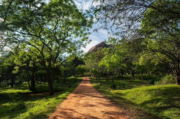 Senderos para caminar