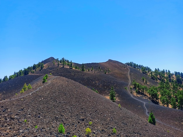 Senderos en los vulcanes de la palma