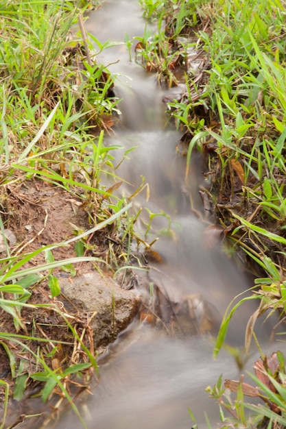 Senderos de flujo de agua