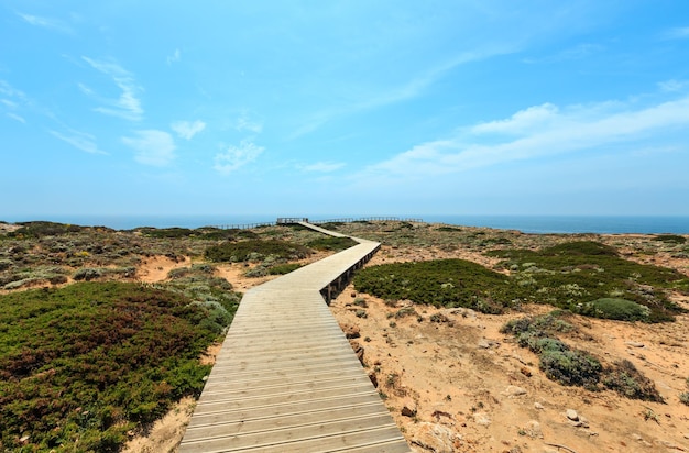 Senderos de madera y miradores en la costa rocosa del Atlántico en verano (Costa Vicentina, Algarve, Portugal).