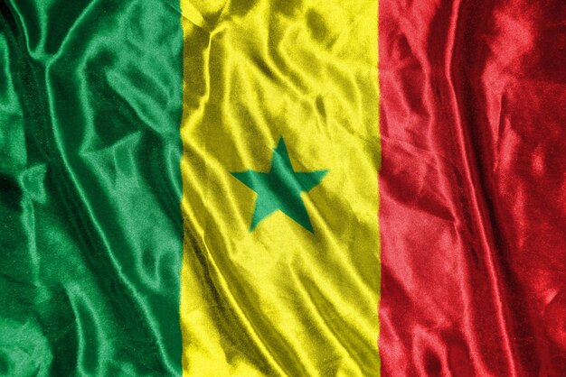 Senegal-Stoffflagge Satin-Flaggen-Waving Fabric Texture of the Flag