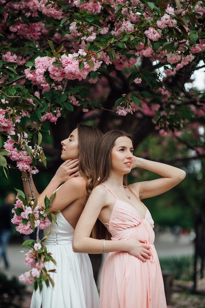 Senhora elegante está posando perto de uma árvore florida. Moda e beleza feminina Twin Girls.