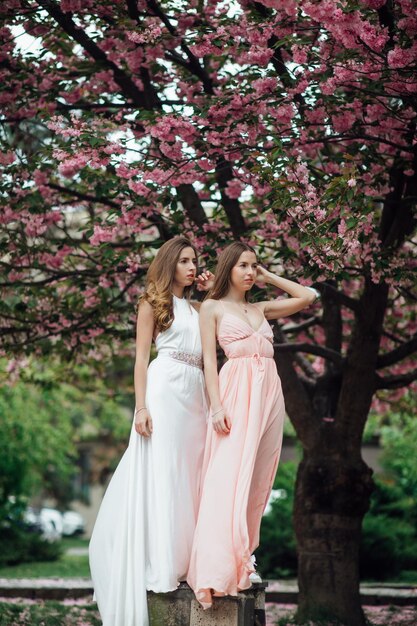 Senhora elegante está posando perto de uma árvore florida. Moda e beleza feminina Twin Girls.