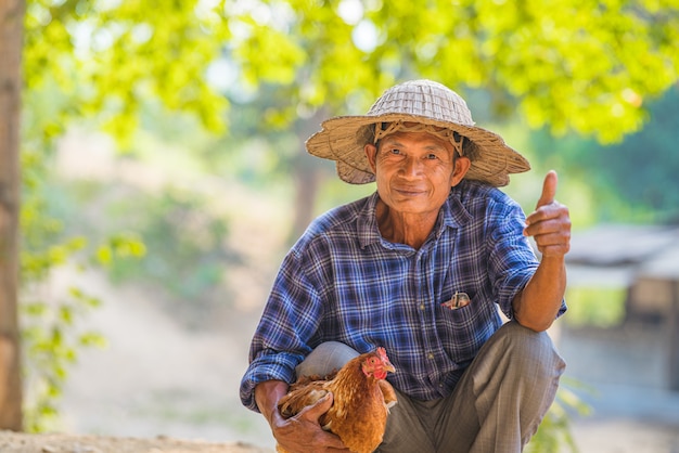 Senior agricultor asiático feliz en la agricultura con pollo