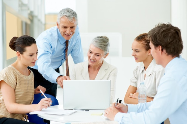 Senior Business Manager bespricht neues Projekt mit Team. Porträt eines Senior Business Managers, der ein neues Projekt im Büro auf einem Laptop bespricht.