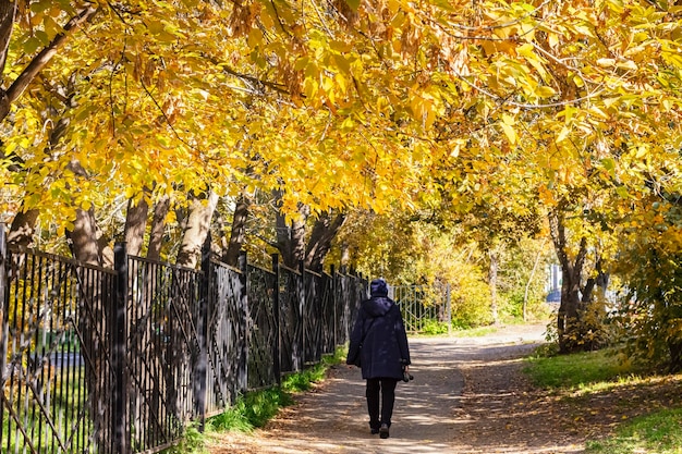 Senior fit mujer sombrero negro y chaqueta caminando por el parque bosque callejón túnel de otoño vista trasera