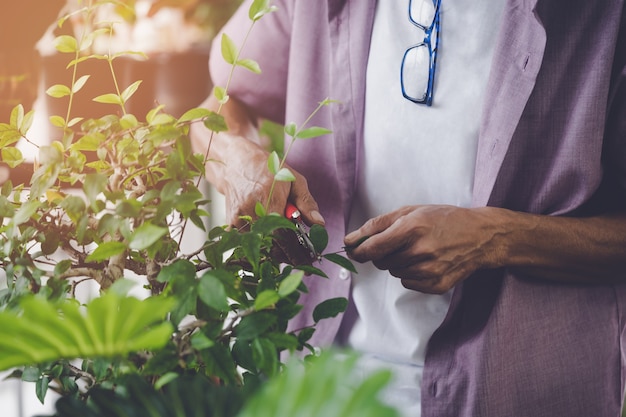 Senior hombre jubilado cortando la planta dentro de su jardín de casa