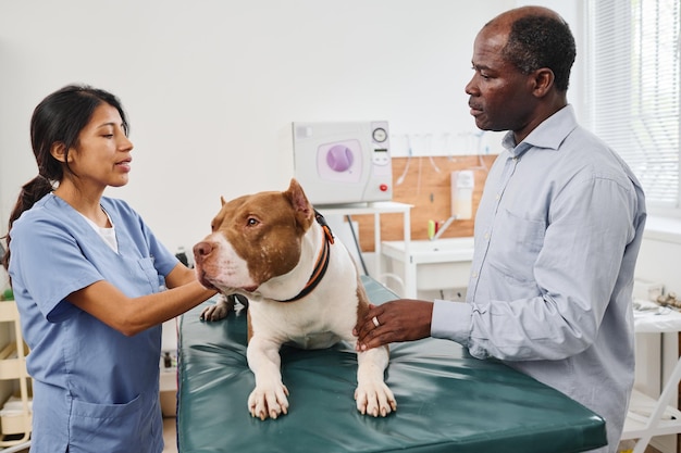 Senior mit Hund beim Tierarzt