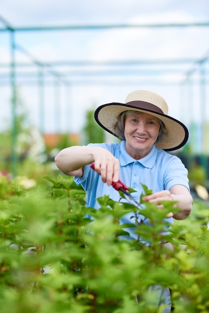 Senior mujer trabajando en el jardín