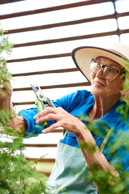 Sênior mulher cuidando de plantas