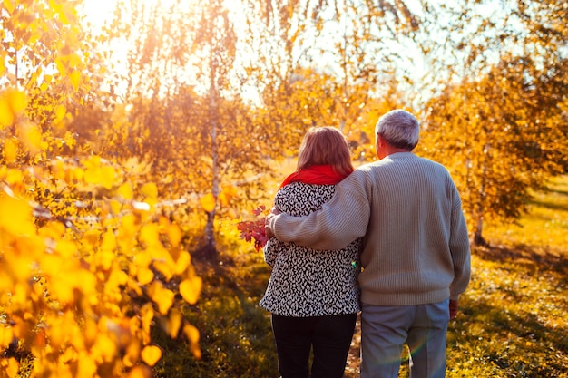 Senior pareja caminando en el bosque de otoño.