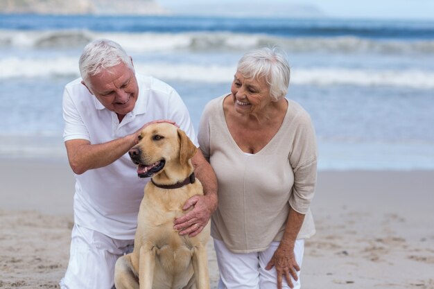 Senior pareja jugando con su perro en la playa