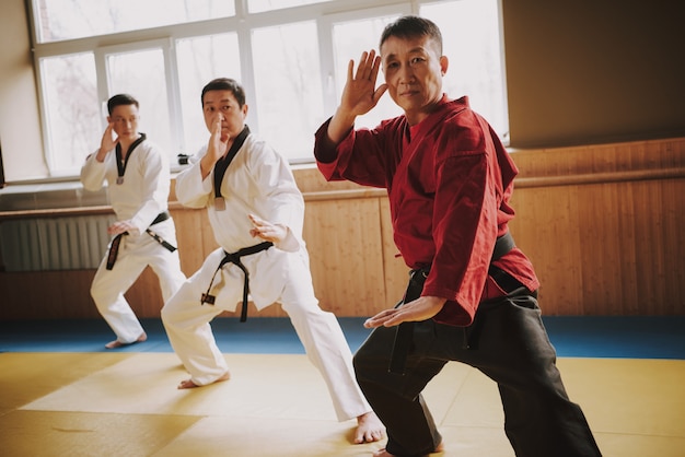Sensei muestra taekwondo en el gimnasio.