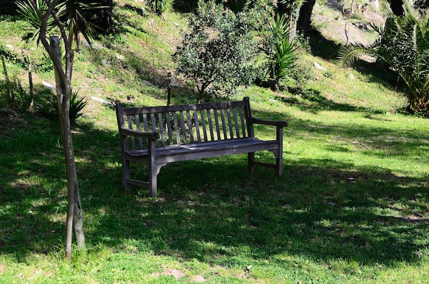 Sentado en un banco en el jardín