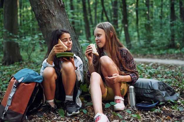 Sentado e comendo Duas meninas estão na floresta tendo uma atividade de lazer descobrindo novos lugares