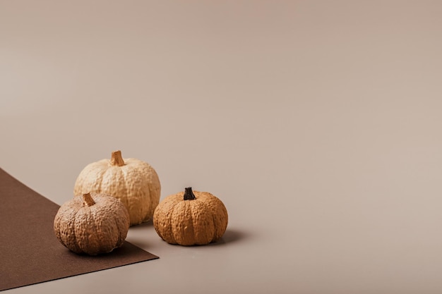 Sentar planas con calabazas de yeso pintadas a mano y espacio de copia. Maqueta de tarjeta de vacaciones de otoño