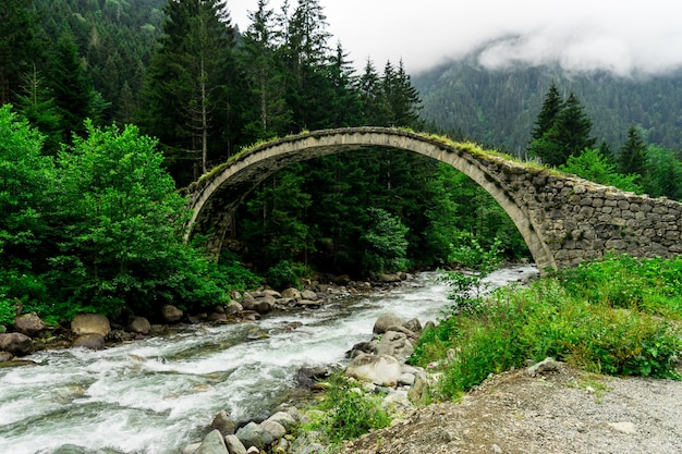 Senyuva-Brücke über den Fluss Firtina in der Nordtürkei