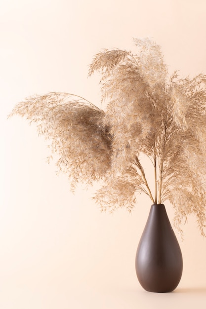 Seque a grama fofa dos pampas em um vaso sobre um fundo bege.