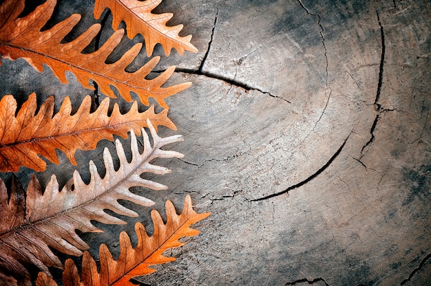 Seque las hojas en el fondo de madera, para el fondo de la naturaleza.