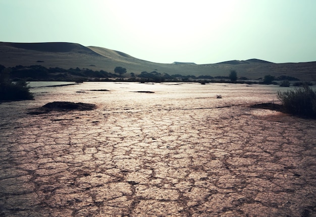 Foto sequía