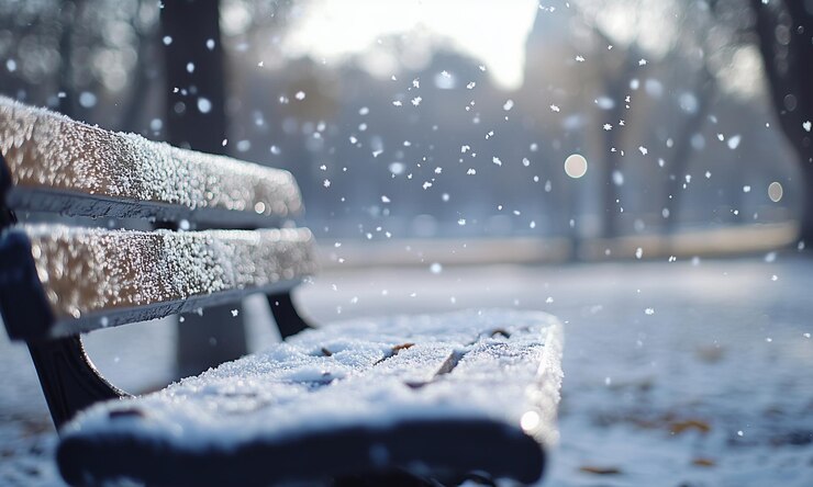 Serena escena de invierno La nieve cae en un banco vacío del parque